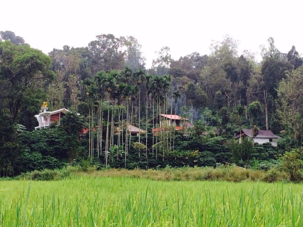 Pool Side Villa'S Of Coorg Мадикери Екстериор снимка